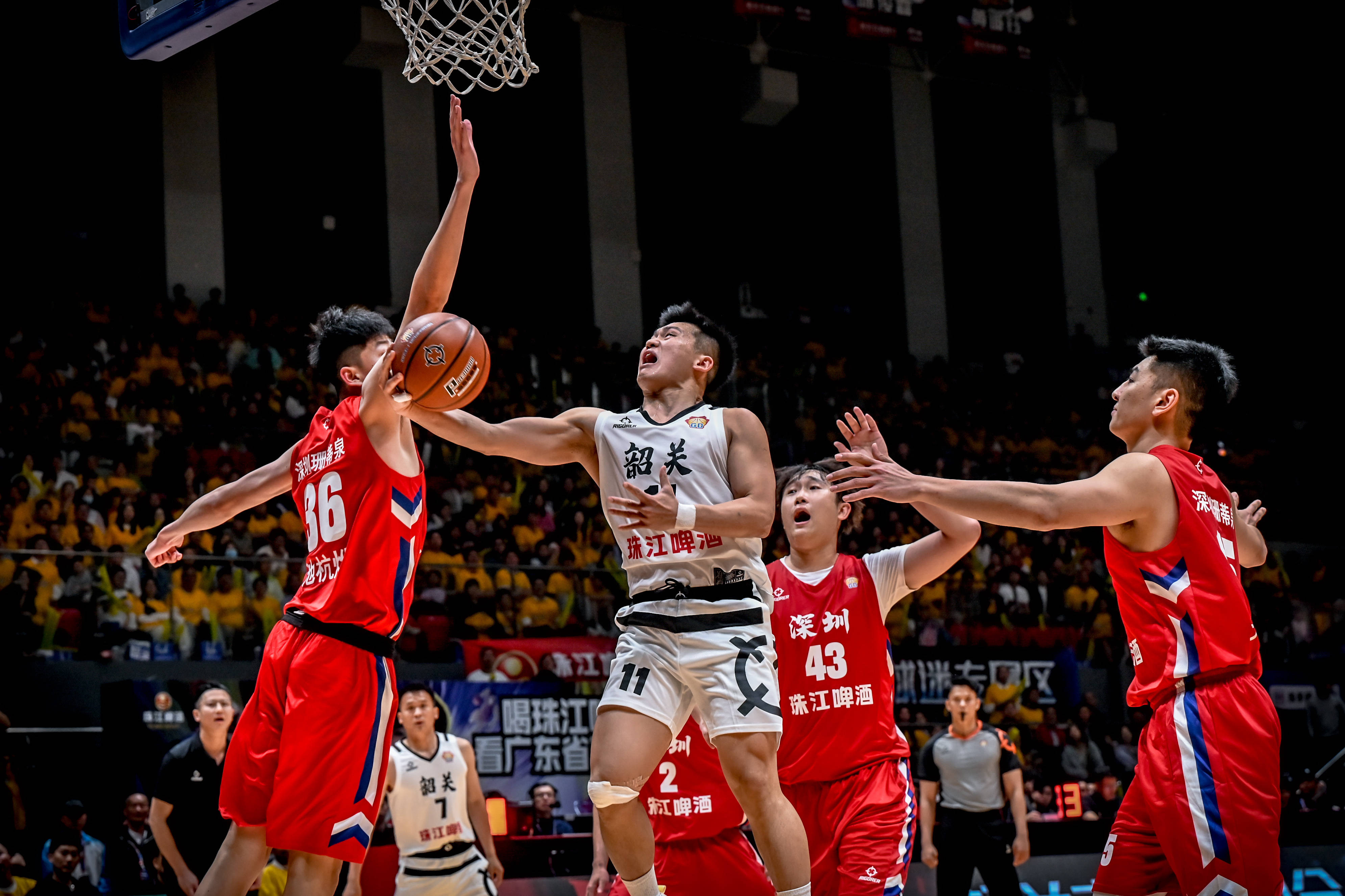 球星球队集结，让我们期待一场篮球盛宴